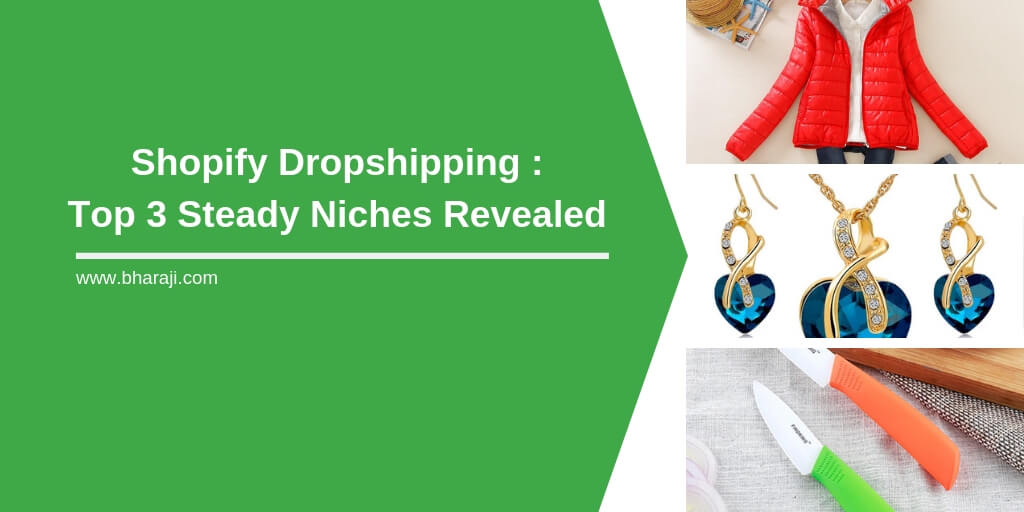 shopify dropshipping top 3 steady niches revealed