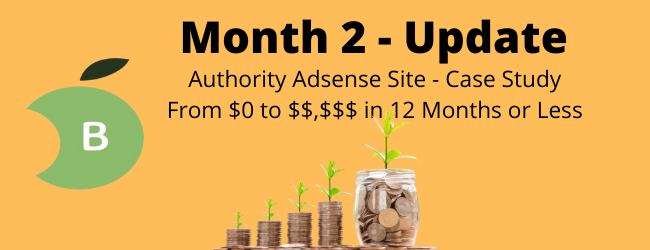 Month 2 update - authority adsense site
